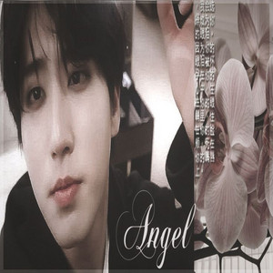 𝖛𝖔𝖑𝖈𝖆𝖓𝖔🐚🏯